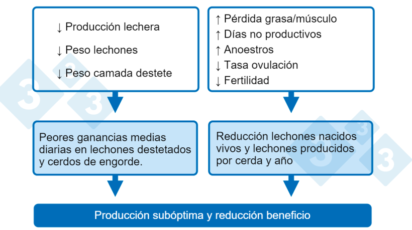 Gráfica 1. Consecuencias de un bajo consumo de nutrientes en lactación.